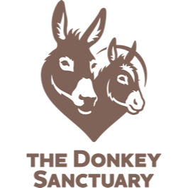 donkey_sanctuary